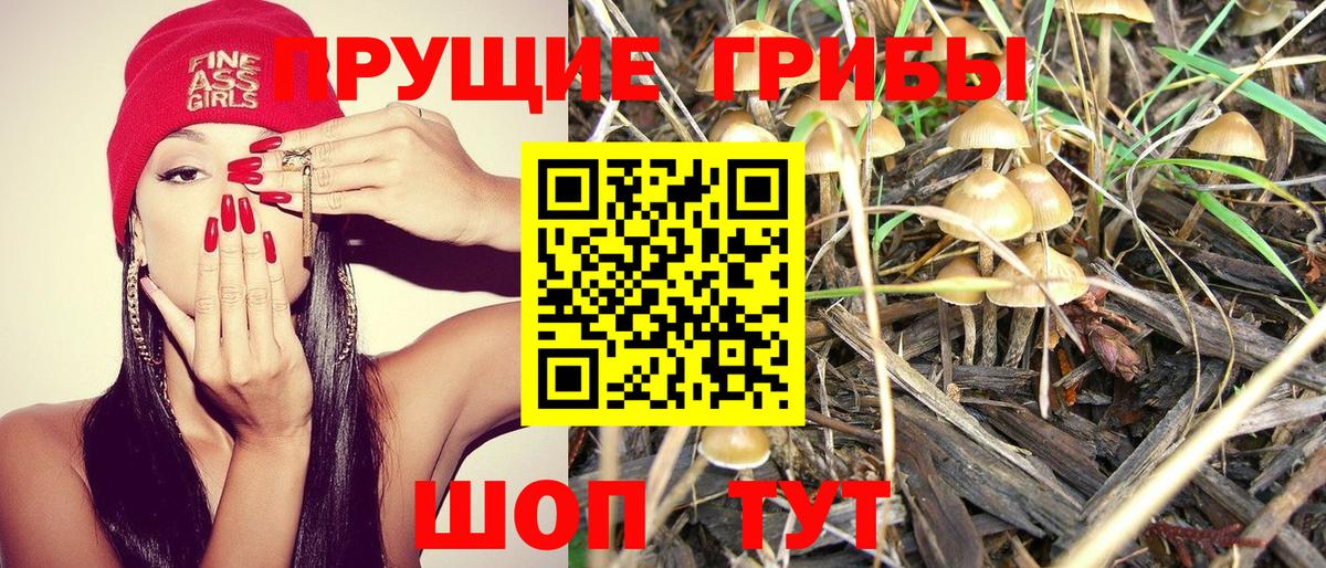 Галлюциногенные грибы мицелий Вязники